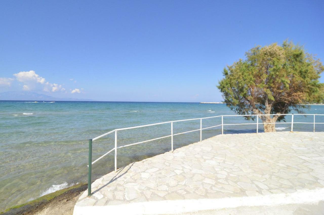 Oasis Beachfront Studios & Apartments, By Zantewize Alykanas  Dış mekan fotoğraf